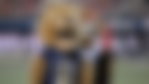 Florida International University Panthers Mascot