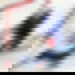 article-image