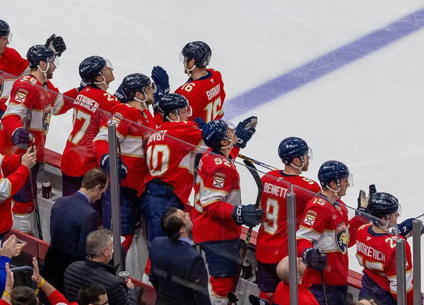 Florida panthers