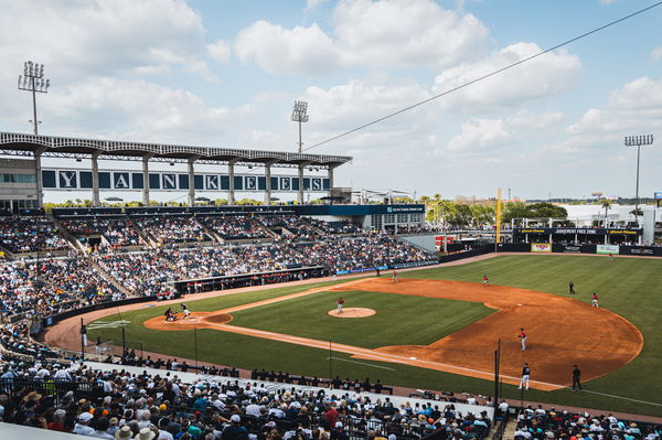 yankees tampa