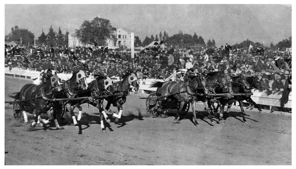 Rose Bowl 1902