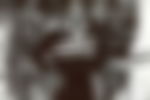 article-image