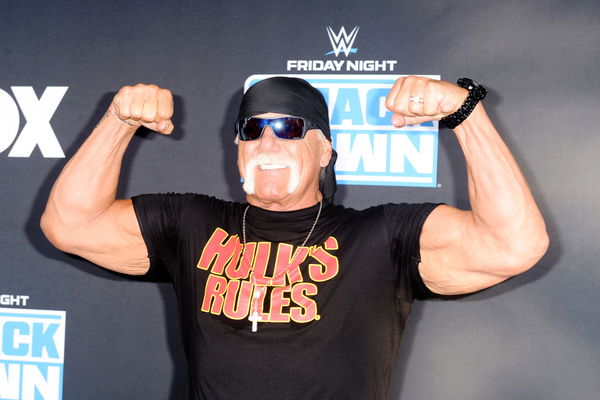 hulk hogan rocky