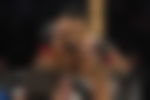 article-image