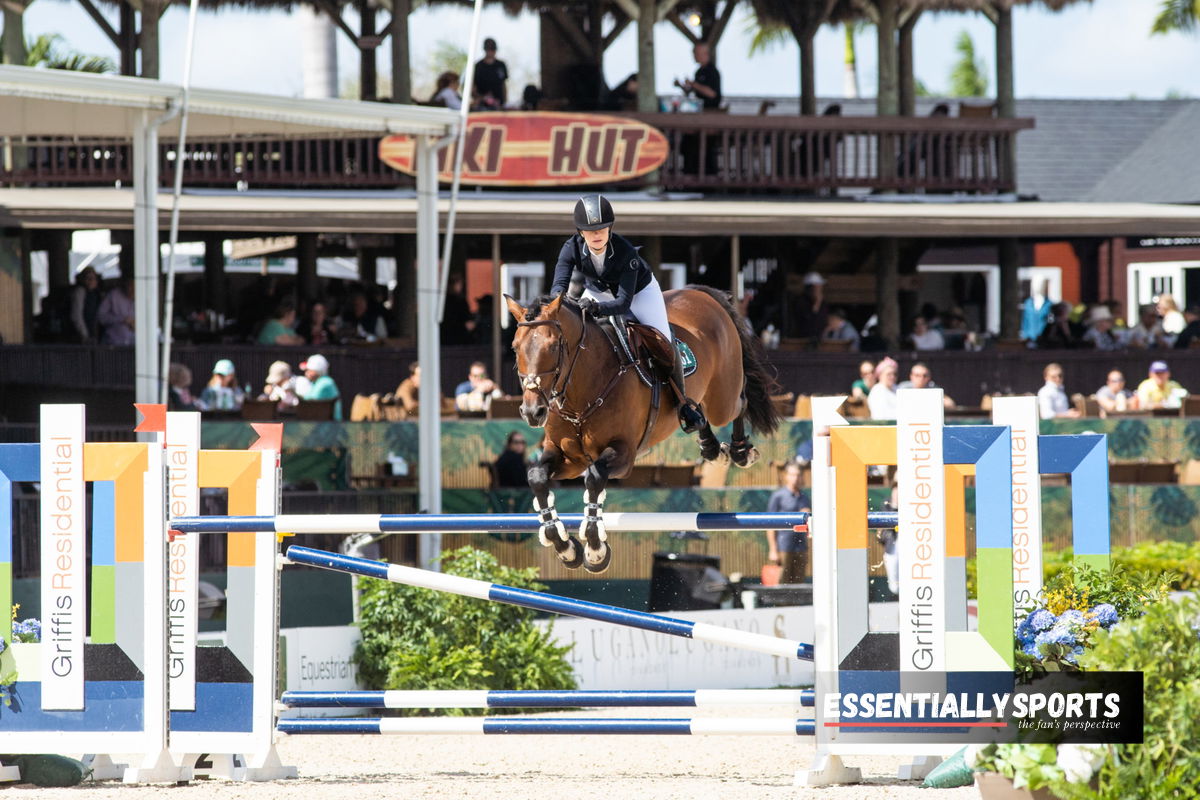 How Do You Qualify for the Equestrian Events at 2024 Paris Olympics