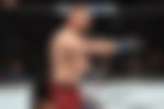 article-image