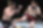 article-image