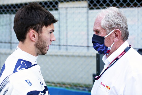 Marko: Don't know where talk about Gasly to Alpine came from