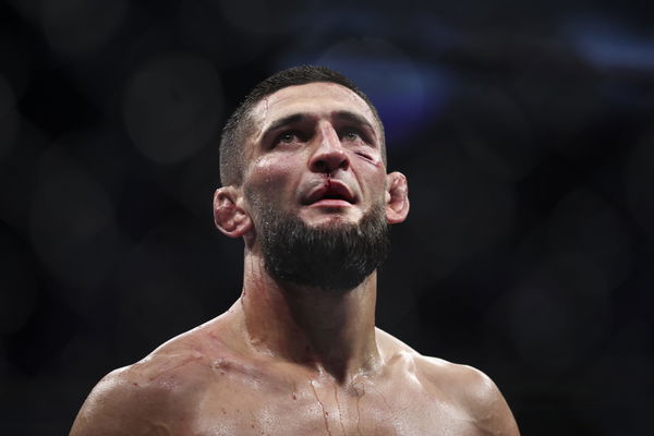 UFC Stars Reflect on Fighting in Brazil