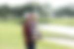 article-image