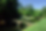 article-image