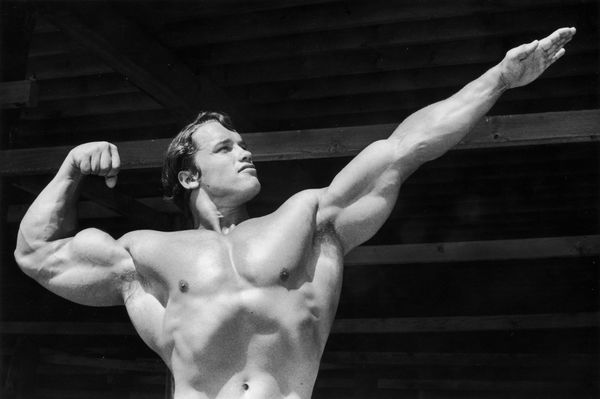 Arnold Schwarzenegger Now: Shirtless in FUBAR - The Barbell