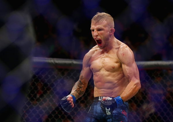 How Much Did T J Dillashaw Earn From