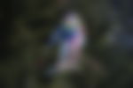 article-image