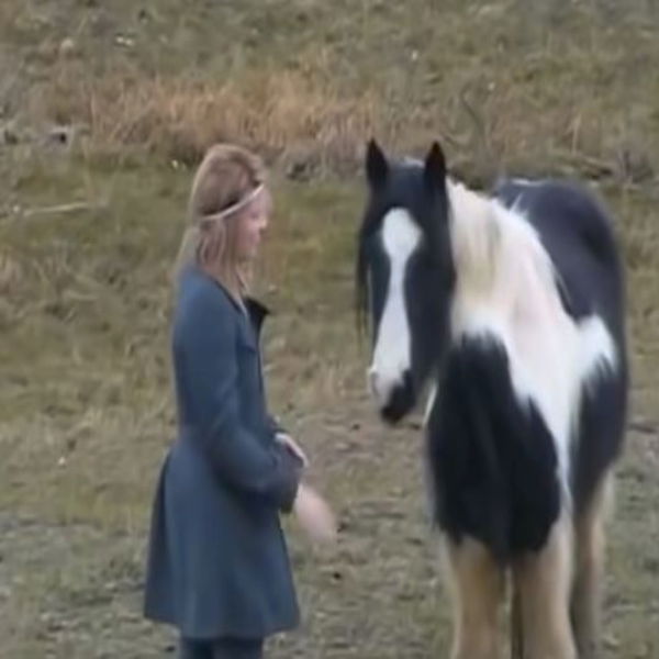 Girl and a Horse