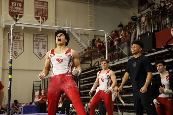 mens gymnastics