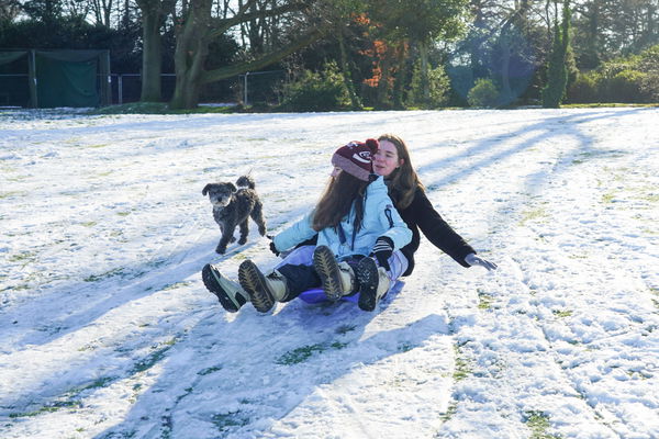 Snowy weather &#8211; London People tobogganing on Brent Valley golf course after a day of snow in London. Photo date: Monday,