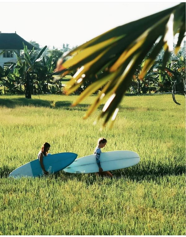 Grass Surfing