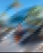 article-image