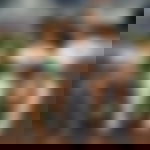 article-image