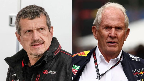 Helmut Marko and Guenther Steiner