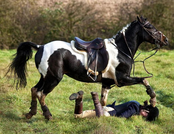 Horse riding