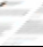 article-image
