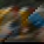 article-image