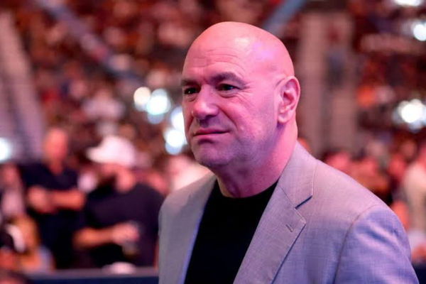 Dana White