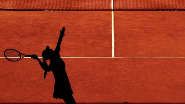 Wildcard Entrant Shocks Tennis World With Horrible Gameplay