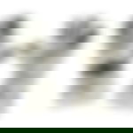 article-image