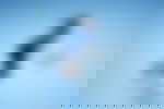 article-image