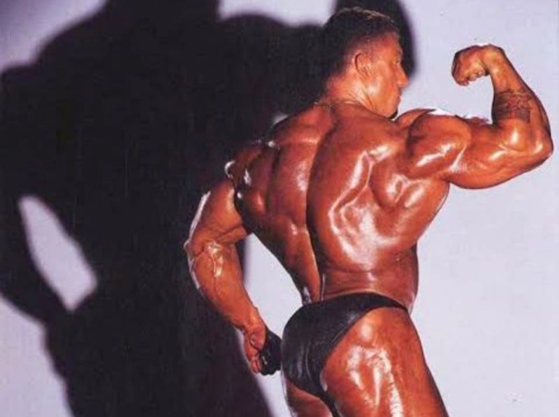 洋書 Mr. Olympia Training Encyclopedia 51HoVYSFHyL._AC_SY200_QL15_.jpg