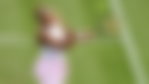 Image for Serena Williams Backed To Trouble Tennis Elite Despite Grim Wimbledon Prediction
