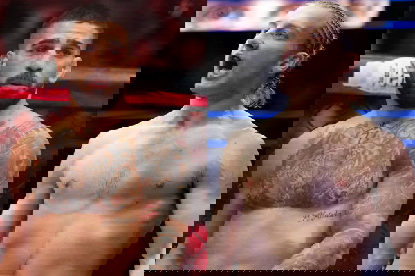 Ilia Topuria, Paddy Pimblett