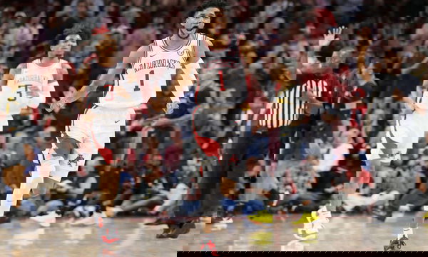 feature-image