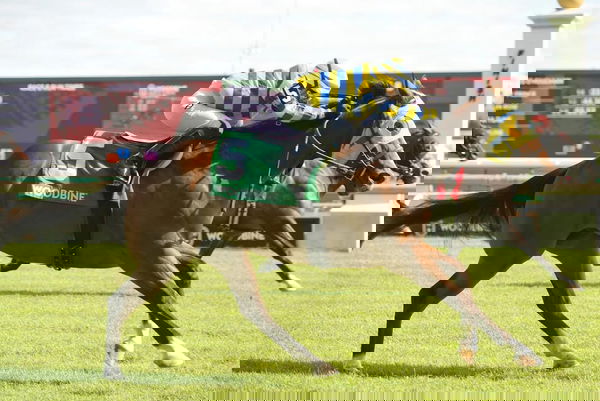 feature-image