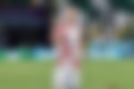 Ivan Perisic