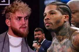 Jake Paul Gervonta Davis Michael Bisping