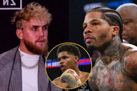 Jake Paul, Shakur Stevenson, Gervonta Davis
