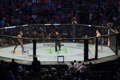 Jamahal Hill, UFC 323