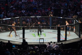 Jamahal Hill, UFC 323