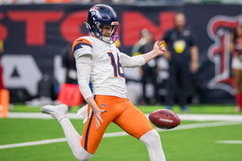 NFL 2025: Broncos Vs Texans NOV 02