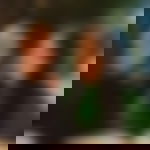 article-image