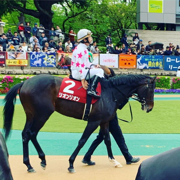 Jockey Norihiro Yokoyama