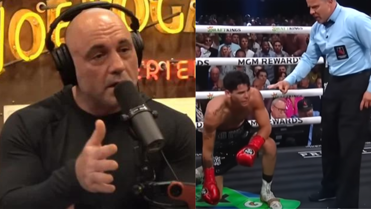 “Have You Ever Been Hit There Before” Joe Rogan Claps Back at Fans