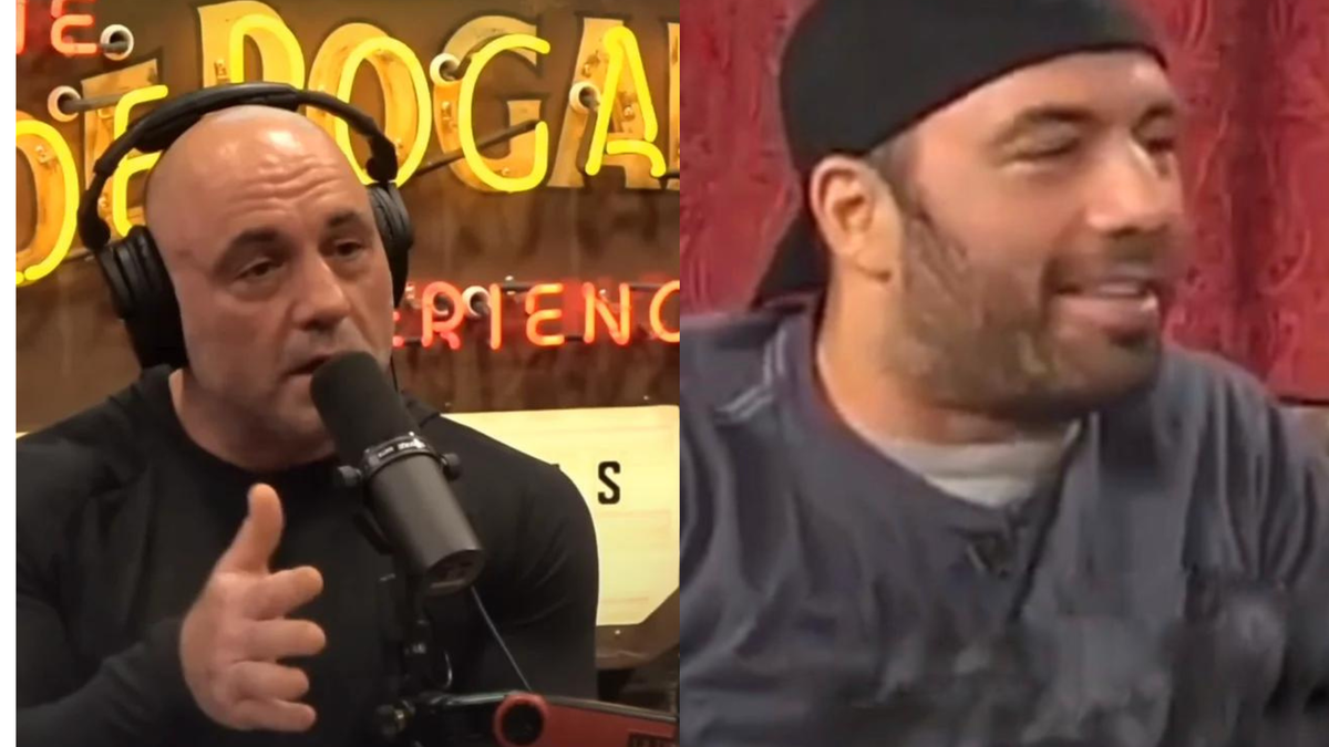 “How You Make Money From This” 2 Years Before Starting JRE, Joe Rogan