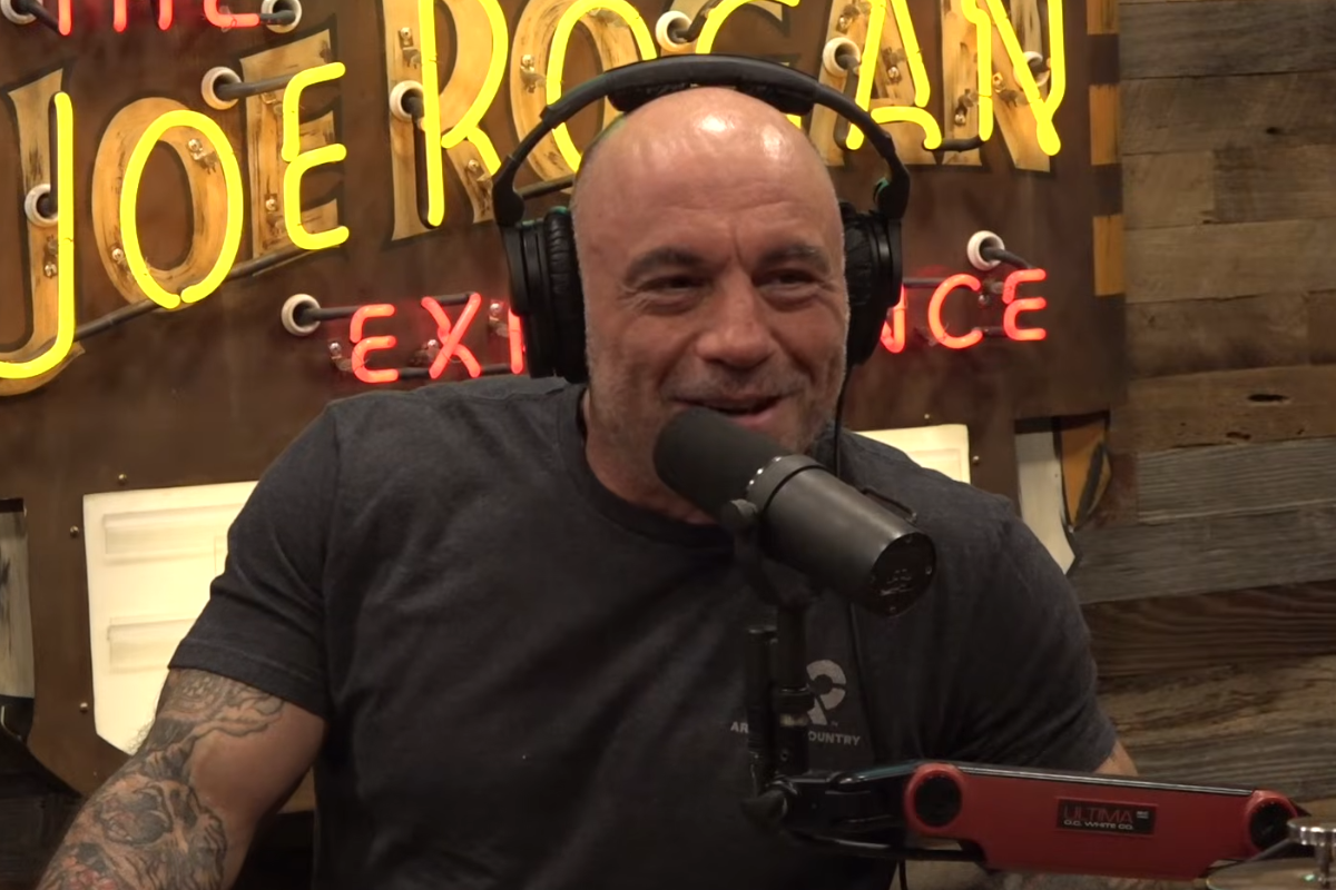 Joe Rogan Remembers UFC Veteran Who Used to Scrap With His Brother for Fun
