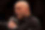 Joe Rogan, UFC
