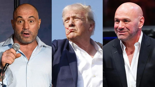 Joe Rogan, Donald Trump and Dana White